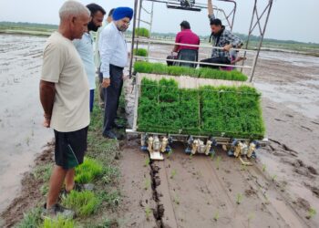 Director Agriculture oversees paddy Sowing Process at SM Farm Chinore