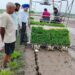 Director Agriculture oversees paddy Sowing Process at SM Farm Chinore