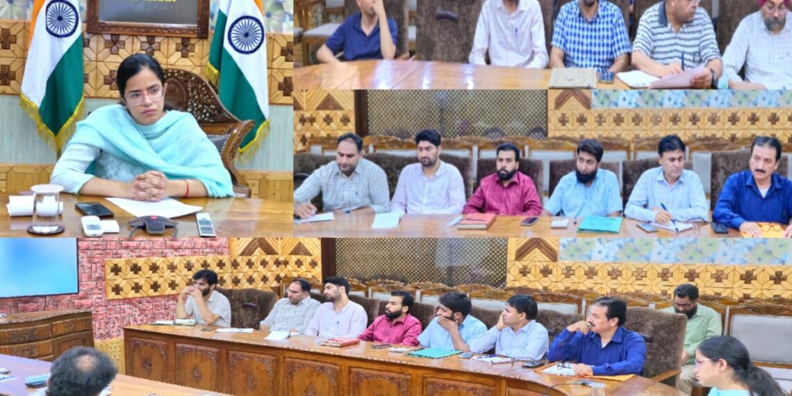 DC Kupwara reviews District Skill Development Plan, directs concerned officers to focus on skill gaps and localized plan