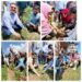 Swachhata Pakhwada: JKEDI holds pledge ceremonies, plantation drives