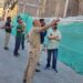 Swift joint rescue operation launched after building collapse in Kabadi Nallah, injured evacuated safely