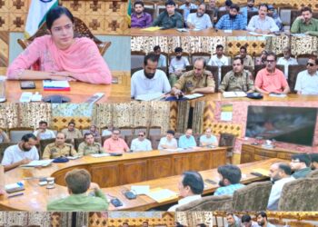 DC Kupwara chairs meeting  to discuss issues, remedial measures for PwDs,  and other vulnerable sections of society.