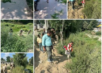 Police carries out bhang destruction drive in Ganderbal, Budgam