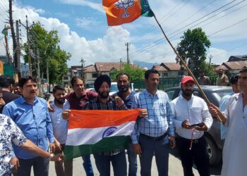 BJP Leaders Celebrate the Abrogation of Article 370 with Joy and Optimism