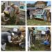 _In the loving memory of Police Martyrs…._  Police organises plantation drive in Ganderbal, Pulwama