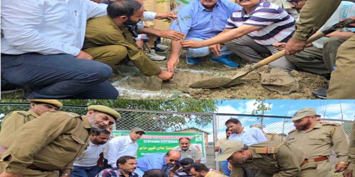 Ek Ped Shaheedo Ke Naam: ADC Kupwara Leads Plantation Drive at sports stadium Galizoo