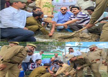 Ek Ped Shaheedo Ke Naam: ADC Kupwara Leads Plantation Drive at sports stadium Galizoo