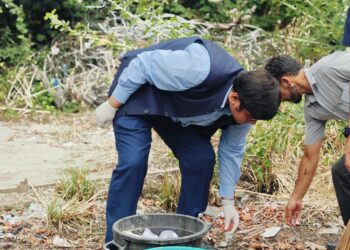 DIPR celebrates Swachhta Pakhwada Director Information leads plantation, cleanliness drives