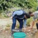 DIPR celebrates Swachhta Pakhwada Director Information leads plantation, cleanliness drives