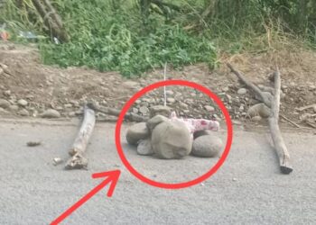 Explosive device found in Kulgam village, defused