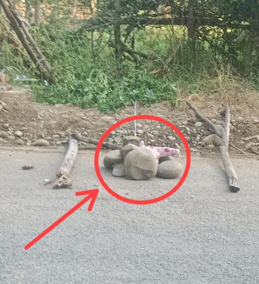 Explosive device found in Kulgam village, defused
