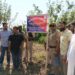 Drug Abuse in North Kashmir: Drug peddler arrested, Property worth lakhs attached