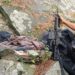 CASO in Doda’s Shivgarh Assar underway