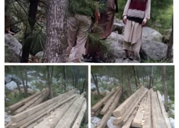 Police recovers Illicit timber in Baramulla, 5 accused arrested