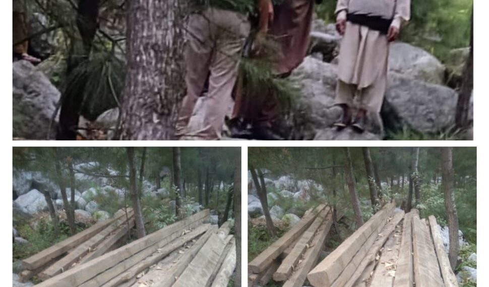 Police recovers Illicit timber in Baramulla, 5 accused arrested