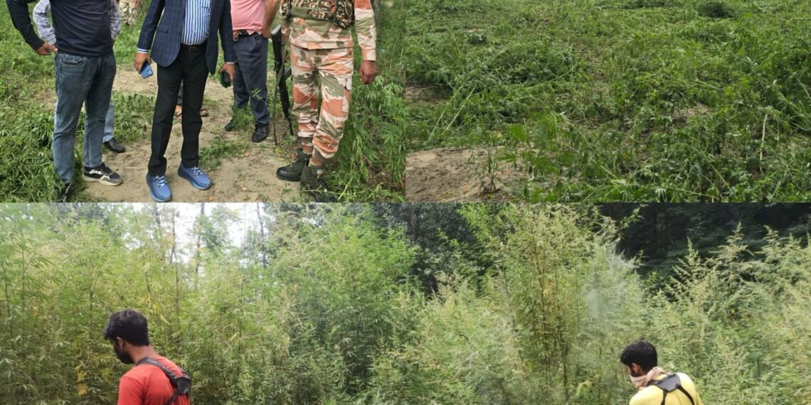Bhung Destruction drive held at Aglar, Zainapora