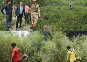 Bhung Destruction drive held at Aglar, Zainapora