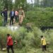 Bhung Destruction drive held at Aglar, Zainapora