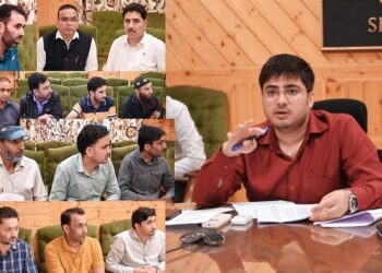Assembly Elections- 2024 DEO Shopian chairs meet with Magistrates of FSTs & SSTs
