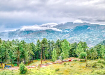 KASHMIR’S ECOLOGICAL SPLENDOUR A GLIMPSE INTO ITS WILDLIFE ABUNDANCE
