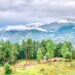 KASHMIR’S ECOLOGICAL SPLENDOUR A GLIMPSE INTO ITS WILDLIFE ABUNDANCE