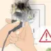 Mother of four kids electrocuted to death during earthquake in Bandipora’s Sumbal