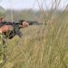 North Kashmir: Gunfight breaks out in Baramulla