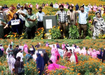 Assembly Elections- 2024 SVEEP Program hosted at Gajoth -Bhalla to spread Voter Awareness
