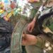 Rifle, Grenade Recovered After Brief Firefight In Surankote Woods