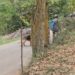 Sniffer dogs pressed into service as search operations continue after three terrorists killed in Baramulla