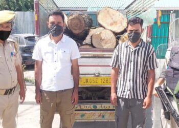 Police recovers Illicit timber in Sopore, 2 arrested