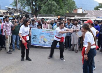 Assembly Elections-2024: SVEEP: Nukkad Natak promotes electoral awareness in Kishtwar