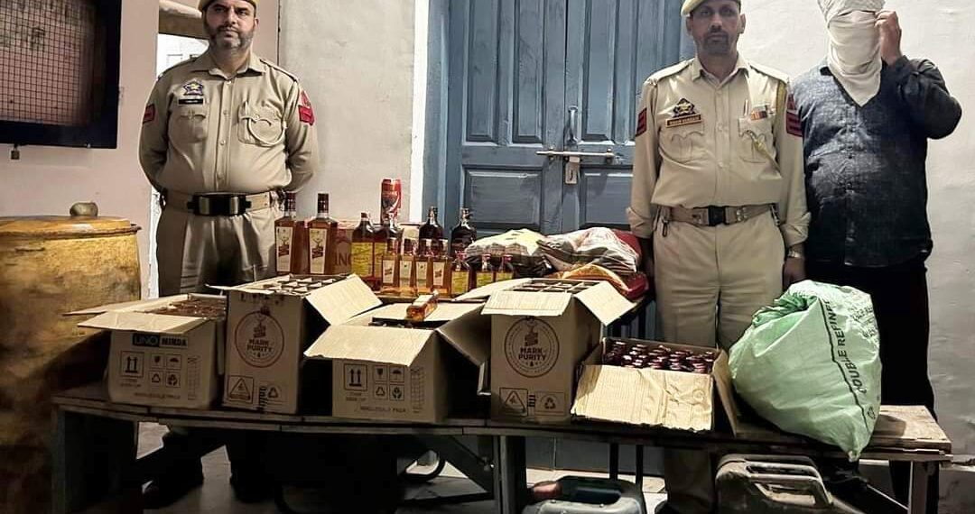 Assembly Elections-2024: Massive Seizures, Cannabis Destruction conducted in Poonch District
