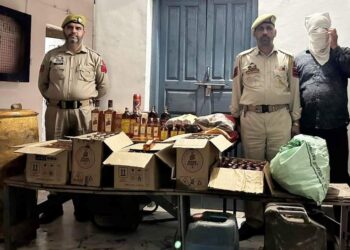 Assembly Elections-2024: Massive Seizures, Cannabis Destruction conducted in Poonch District