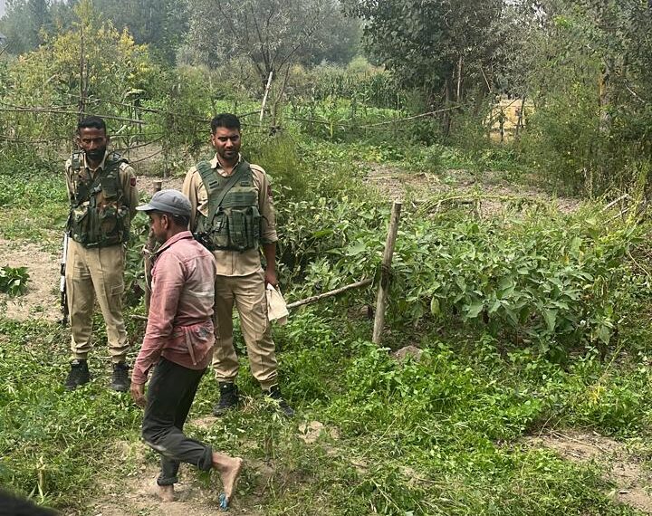 Police registers 04 FIRs against cannabis cultivation in Ganderbal