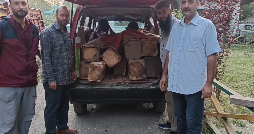 Vehicle with illegal timber seized in Teerina Mawer