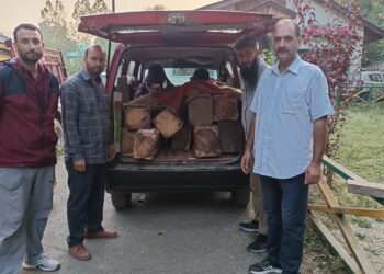 Vehicle with illegal timber seized in Teerina Mawer