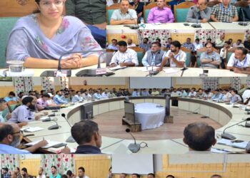 DEO Kupwara holds Interactive Session with Sector, Zonal Magistrates, Sector officers Police.