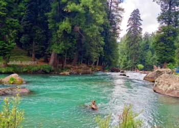 THE ENCHANTING BEAUTY OF KASHMIR: A TIMELESS PARADISE