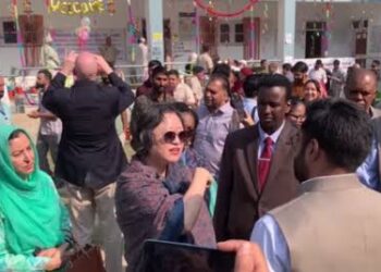 Delegation of diplomats visiting Kashmir to witness elections