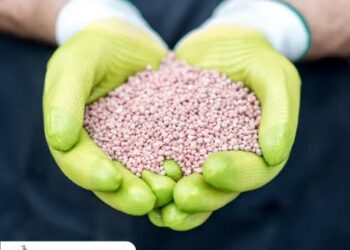 Cabinet approves Nutrient Based Subsidy (NBS) rates for Rabi Season, 2024 (from 01.10.2024 to 31.03.2025) on Phosphatic and Potassic (P&K) fertilizers