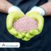 Cabinet approves Nutrient Based Subsidy (NBS) rates for Rabi Season, 2024 (from 01.10.2024 to 31.03.2025) on Phosphatic and Potassic (P&K) fertilizers