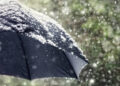 Rain, snow over higher reaches of Kashmir valley during the next 24 hrs: MeT
