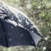 Rain, snow over higher reaches of Kashmir valley during the next 24 hrs: MeT