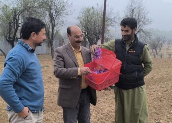 Director Agriculture visits Saffron areas of Pampore