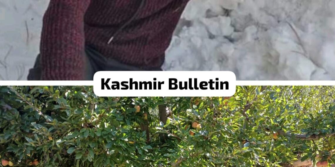 24 year Old youth Crushed to Death by Own Tractor in Qaziabad Kupwara