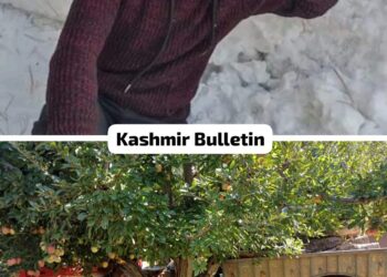 24 year Old youth Crushed to Death by Own Tractor in Qaziabad Kupwara