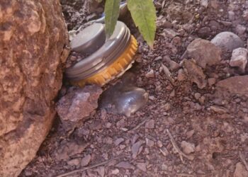 Suspected explosive material found in J&K’s Rajouri