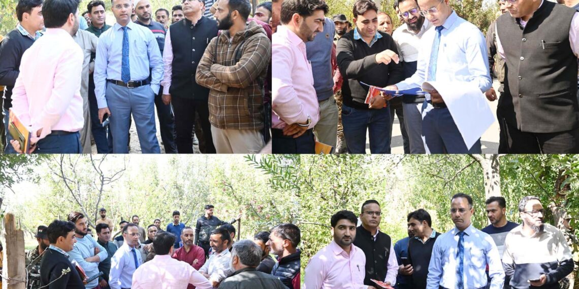 DDC Shopian visits NH- 444 sites