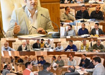 DC Kulgam reviews Power sector RDS scheme
